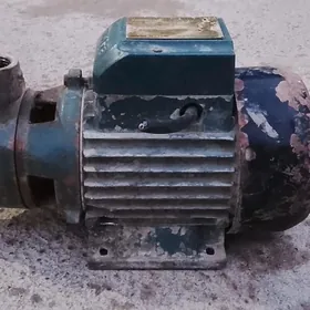 80.LİK SHİMGE SUW NASOS