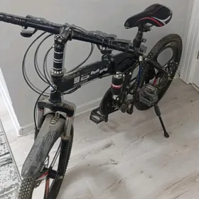 welsaped         BMW