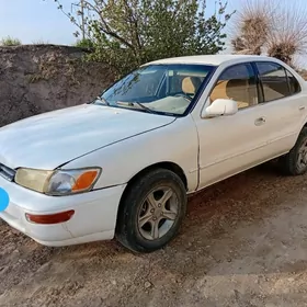 Toyota Corolla 1991