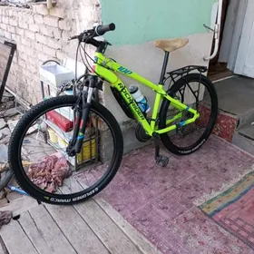 rokriders  made in Ruminya 27x