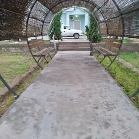 Elitka plan howly jaÿ full