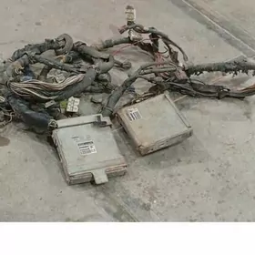 nissan patfinder kampuyuter