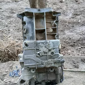 zafira karter 2,2 sep