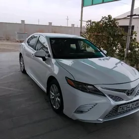 Toyota Camry 2019
