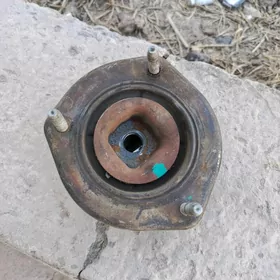 Lysutra babycka lisicyka