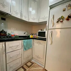 от хозяина 1ком гаудан план