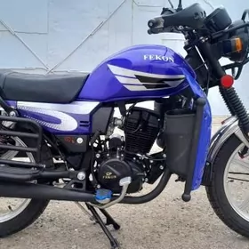 Fekon FK200-14G 2026