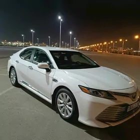 Toyota Camry 2020