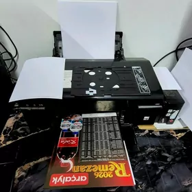 Epson l800 Pecat 100% arassa