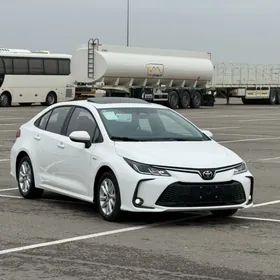 Toyota Corolla 2026