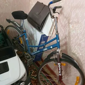 tigir-welik ( велосипед)