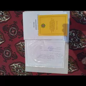 ilc kamunizmda satlyk j