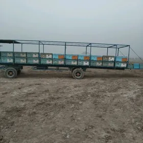 сатлык ары прицеп арысы билен