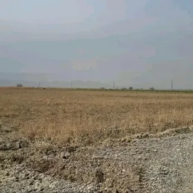 ANEWDE 5-GEKTAR MULK YERY