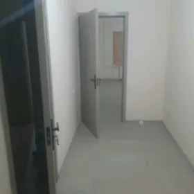 Satlyk elitka Himik mkr