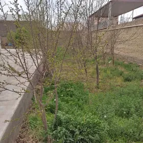 Şatlyk ýer 6 sotok