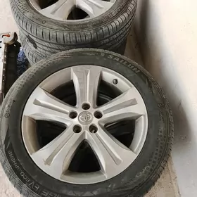 19 zlyk Haŷlandyr aŷak