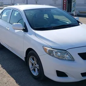 Toyota Corolla 2010