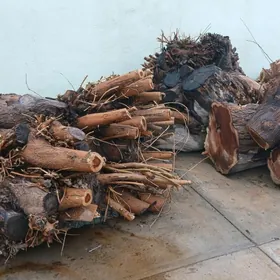 Odyn böleklenen Tut bagy