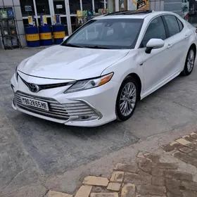 Toyota Camry 2019