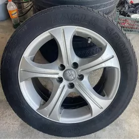 Diska pakrishka 16lyk