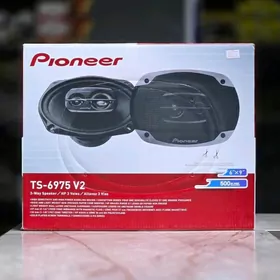 Pioneer Kalonka
