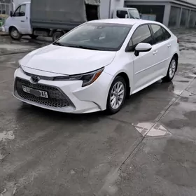 Toyota Corolla 2020