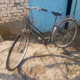 Welseped Tigir 27 lik