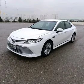 Toyota Camry 2019