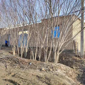 Satlyk jaý 20 sotok