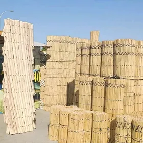 Гамыш Gamyş AK öý garöy Gotoz