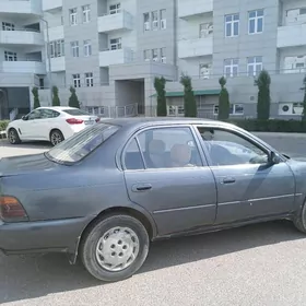 sadiklara çaga gatnatmak