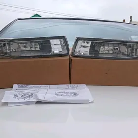 karola haliji tumanlik