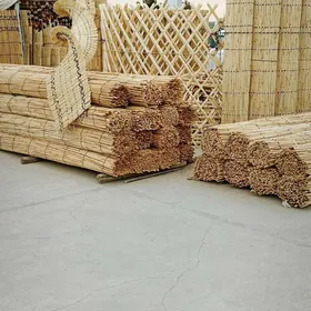 Gamyş AK öý garöy Tüýnük Gotoz