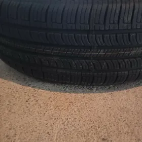 Siena diska pakryska