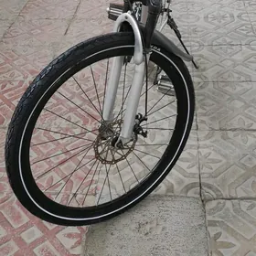 Tigir 26-lyk skorostnoý