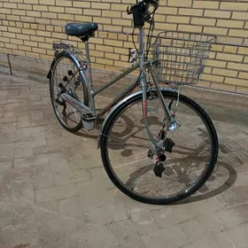 yapon welik 27 lik tayyn