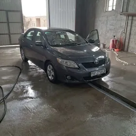 Toyota Corolla 2010