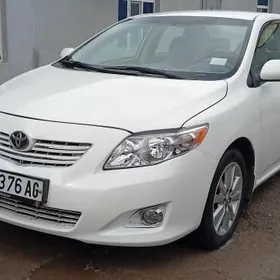 Toyota Corolla 2010