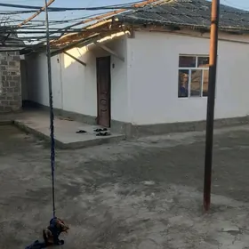 Magtymguly Garrygala