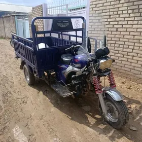 Fekon FK200-14G 2024