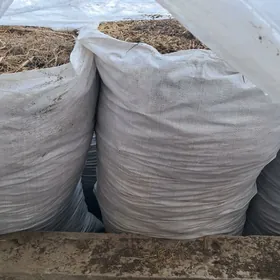 Элин увелен яндак от