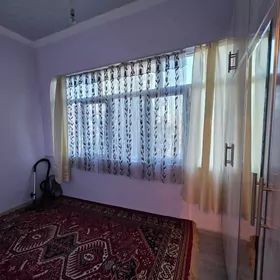 30mkr 1 Kom beyik patalok