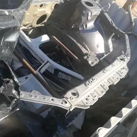 2018 haylandyr morda ystoyka