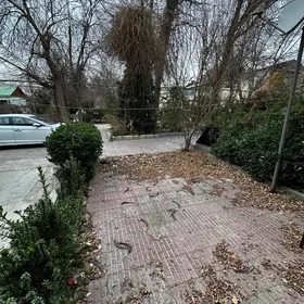 Sbaboda koc 1 mkrn  beyik pata