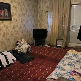 Mir3 Satlyk jay 1komnat