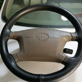 Лисичка, бабочка руль