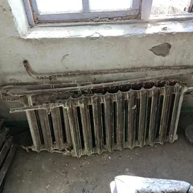 RIGISTORLAR WE LYUSTRALAR