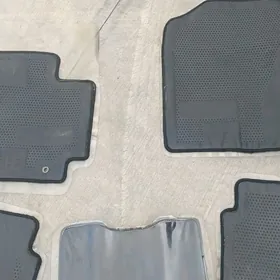 carolla kowrik S   2011