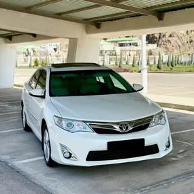 Toyota Camry 2014